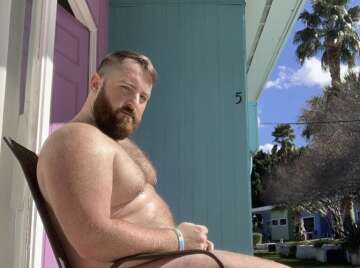 Image thumbnail of Gay bears