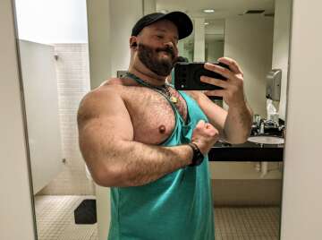 Image thumbnail of Gay bears