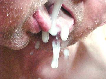 Image thumbnail of Gay bears