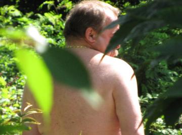 Image thumbnail of Gay bears