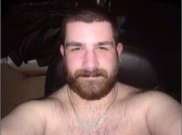 Image thumbnail of Gay bears