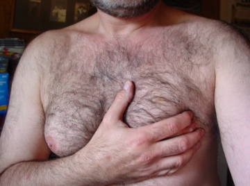 Image thumbnail of Gay bears