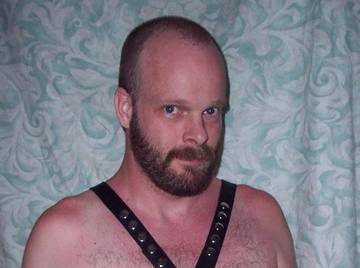 Image thumbnail of Gay bears