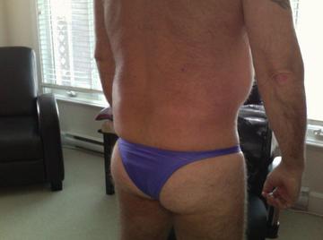 Image thumbnail of Gay bears