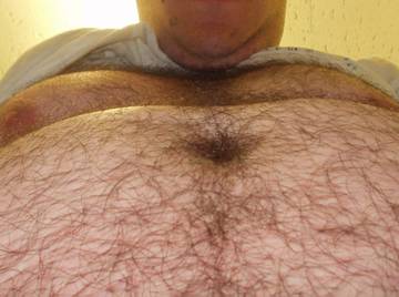 Image thumbnail of Gay bears