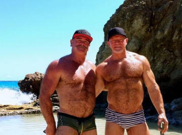 Image thumbnail of Gay bears