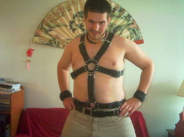 Image thumbnail of Gay bears