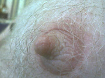 Image thumbnail of Gay kinksters