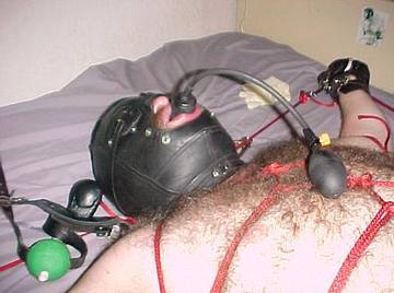 Image thumbnail of Gay kinksters