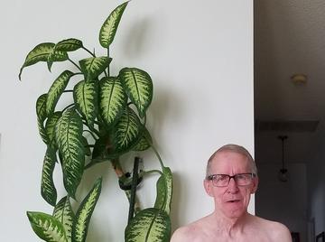 Image thumbnail of Gay kinksters