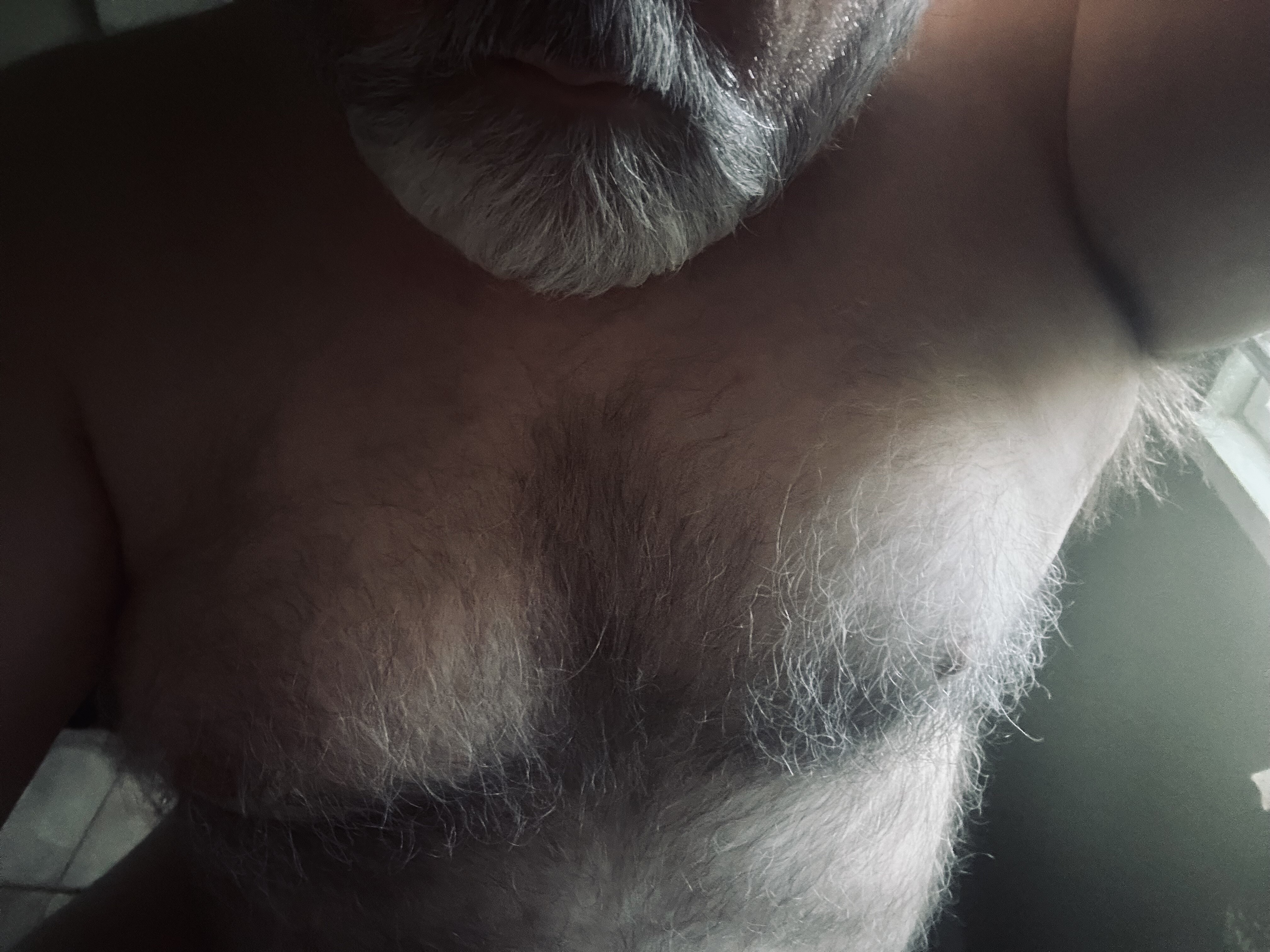 Silverdaddies Gallery - Silverdaddies Gallery Armpits Artwork Beards General Hairy Main Polar Bears