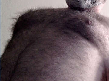 Image thumbnail of Gay silverdaddies