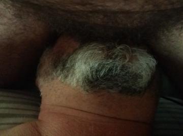 Image thumbnail of Gay silverdaddies