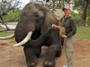 Image thumbnail of Gay silverdaddies