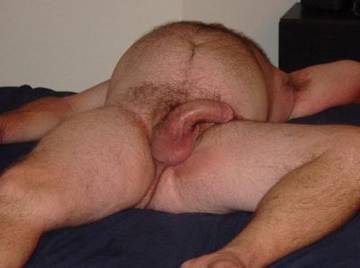 Bigbelly - Big Belly Chubs Beards Ballbelly Main Gallery