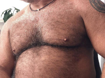 Image thumbnail of Gay chubs