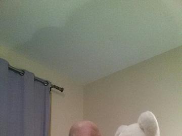 Image thumbnail of Gay chubs