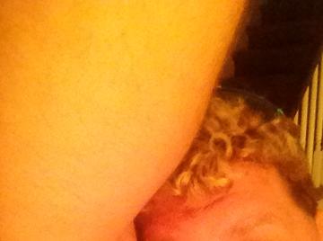 Image thumbnail of Gay chubs