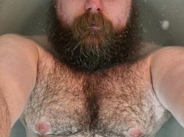 Image thumbnail of Gay chubs