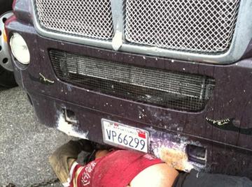 Image thumbnail of Gay chubs