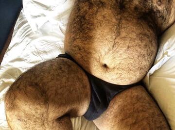 Image thumbnail of Gay chubs