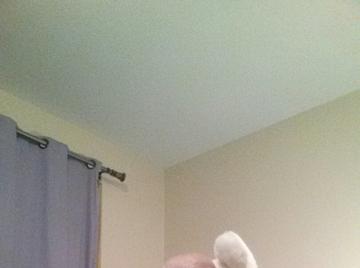 Image thumbnail of Gay chubs