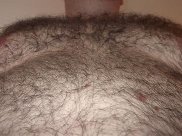 Image thumbnail of Gay chubs