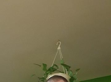 Image thumbnail of Gay chubs