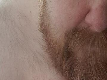 Image thumbnail of Gay chubs