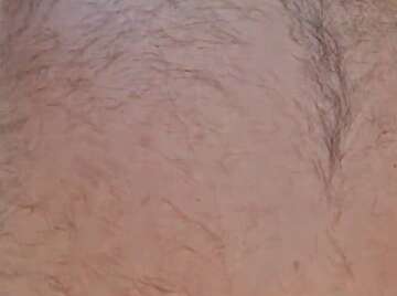 Image thumbnail of Gay chubs